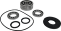 Atv Front Diff Bearing & Seal Kit
