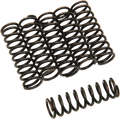 Clutch Spring Kit