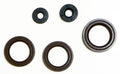 VertexWinderosa Oil Seal Sets CAN-AM (BRP), HONDA, JOHN DEERE - 159190