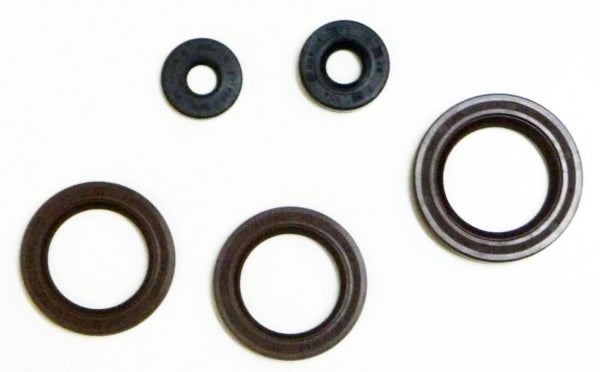 VertexWinderosa Oil Seal Sets CAN-AM (BRP), HONDA, JOHN DEERE - 159190
