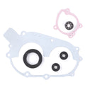 VertexWinderosa Water Pump Repair Kit POLARIS