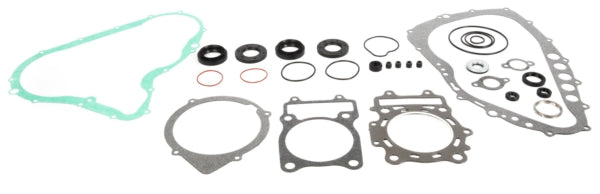 VertexWinderosa Complete Gasket Set with Oil Seals - 811 ARCTIC CAT - 159500