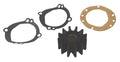 Sierra Impeller Kit 18-3046