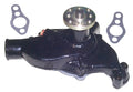 Sierra Circulating Water Pump
