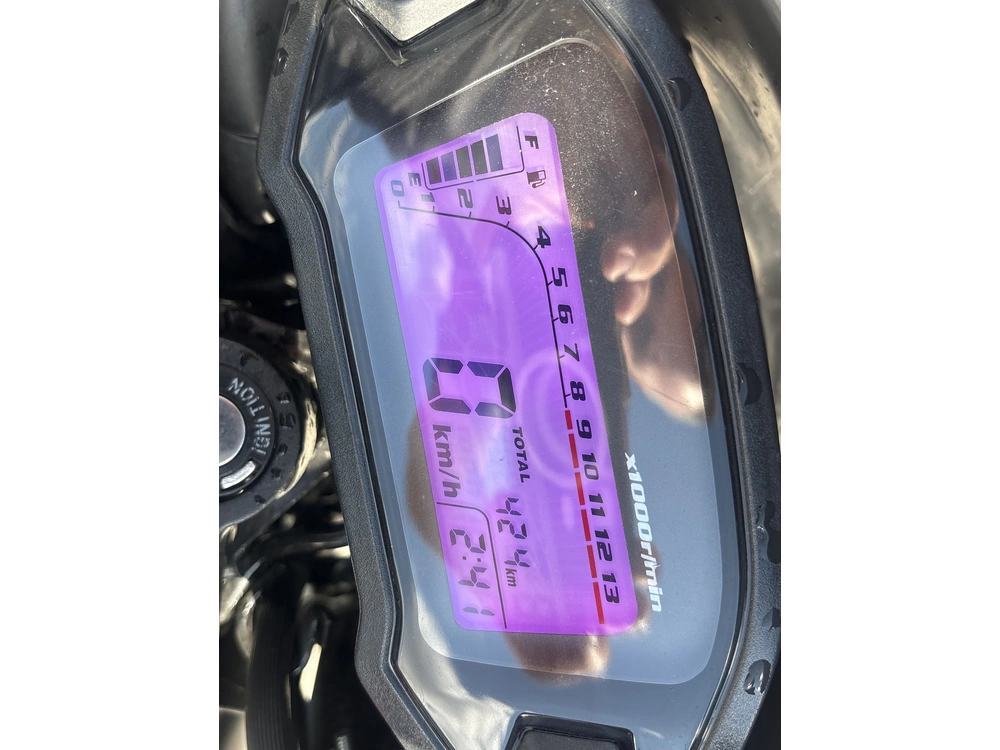 Other 2024 Scorpion Stinger 50CC