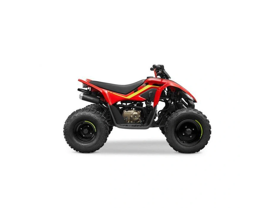 CFMOTO 2026 CFORCE 110 Classic