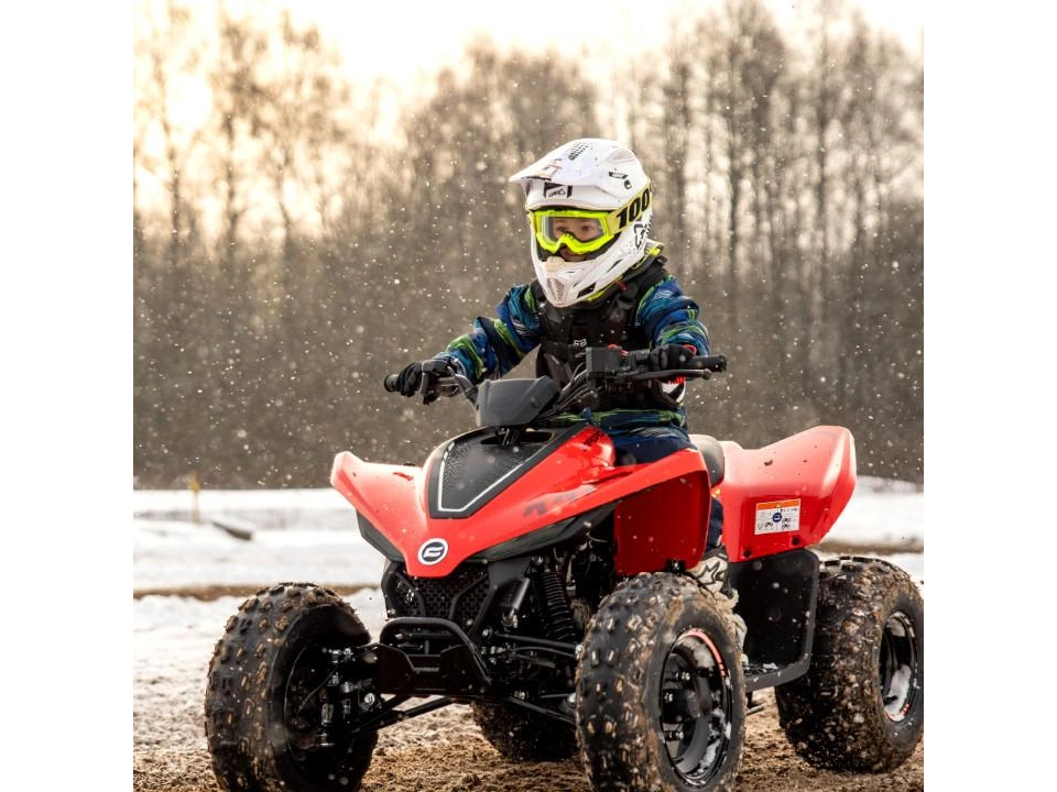 CFMOTO 2026 CFORCE 110 Classic