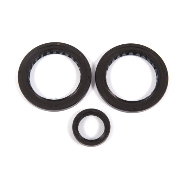 All Balls Differential Seal Kit POLARIS