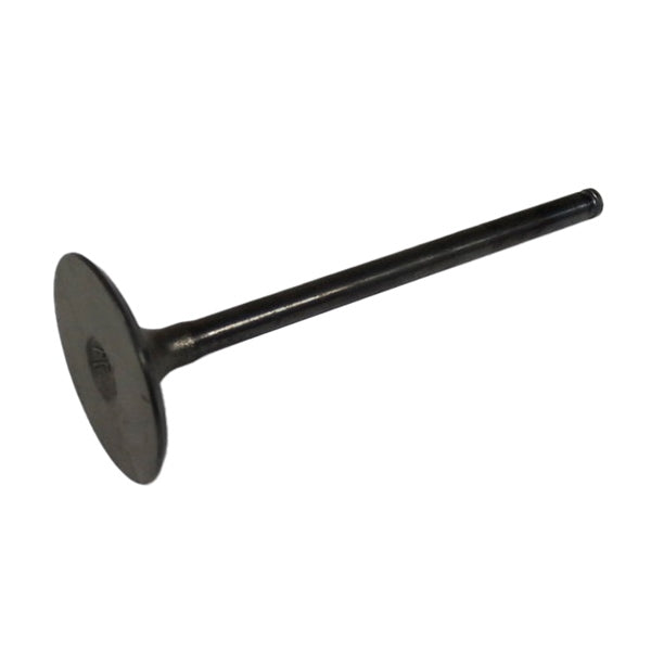 Shindy Engine Valve POLARIS