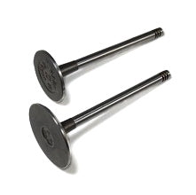 Shindy Engine Valve Kit CAN-AM (BRP)