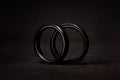 Stark Future Fork oil seal