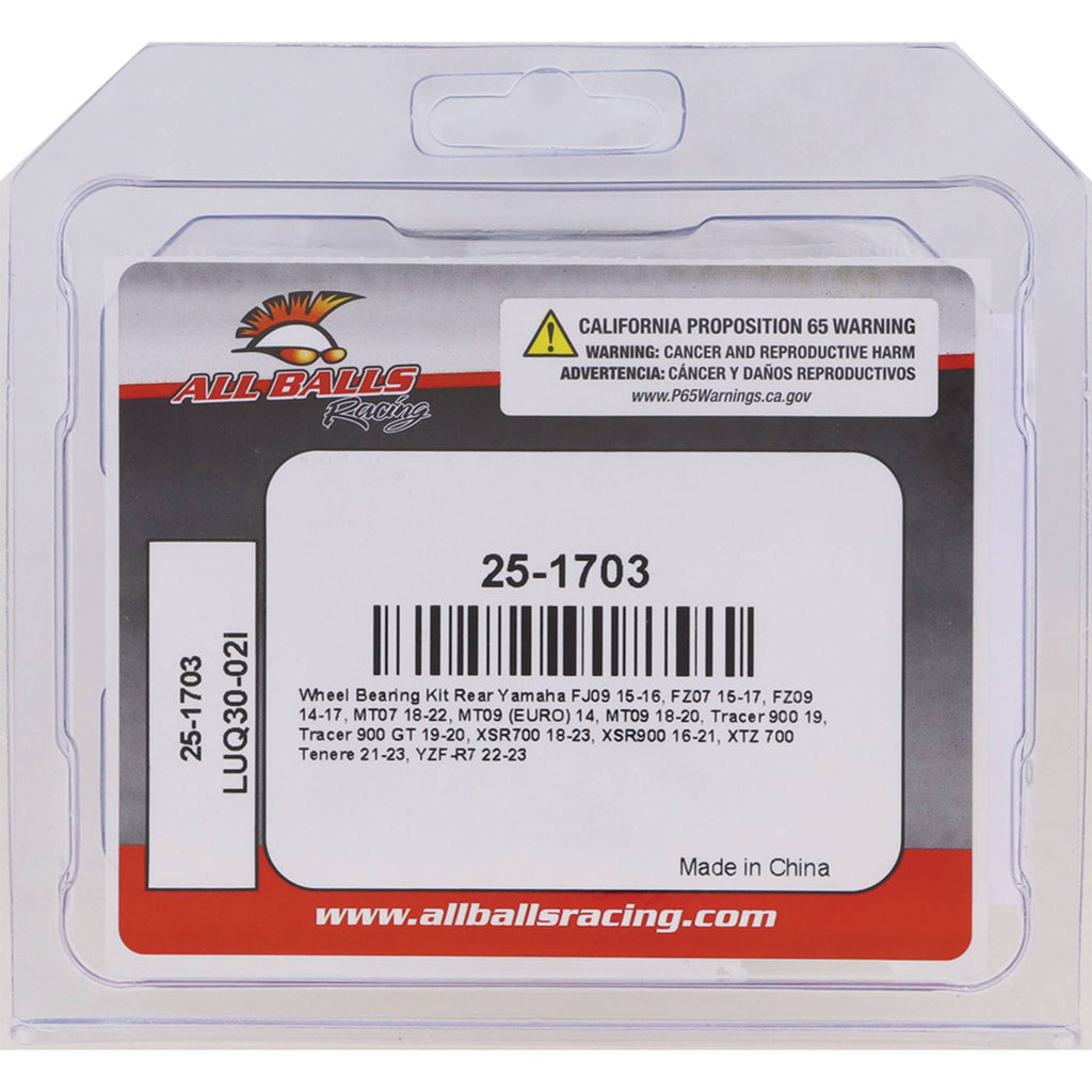 Rear Wheel Bearing & Seal Kit