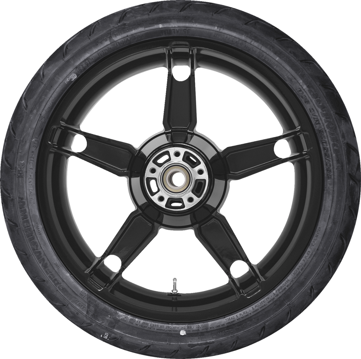 Daytona Rear Wheel/Tire Combinations with TPMS Pre-Installed
