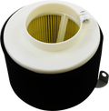 Air Filter Kawasaki