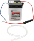 Conventional Battery — 6 V