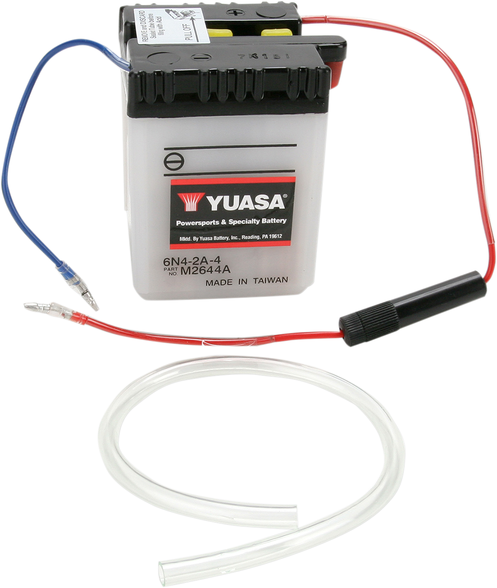 Conventional Battery — 6 V