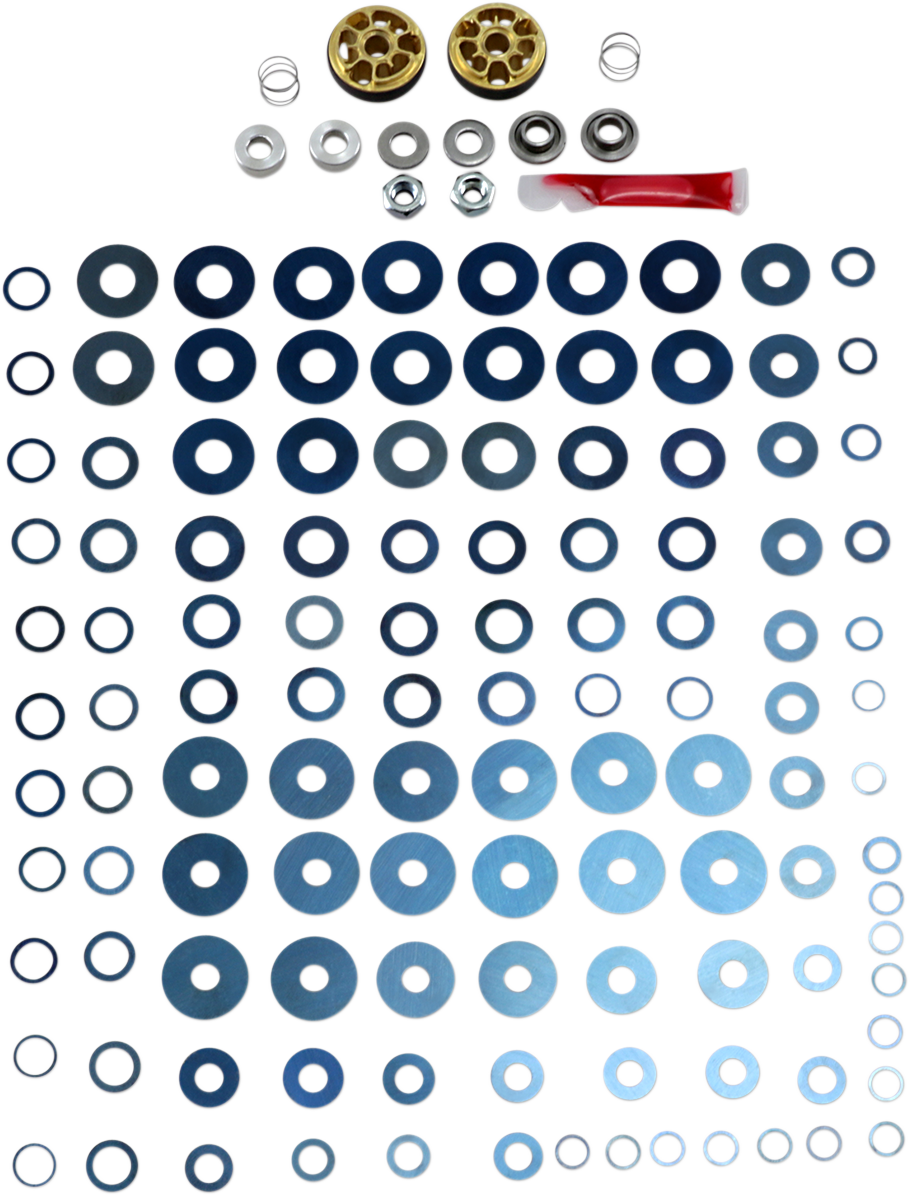 Rebound Gold Valve Fork Kit