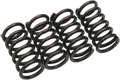 Clutch Spring Kit