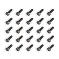 CKX Titan Helmet Peak Screws