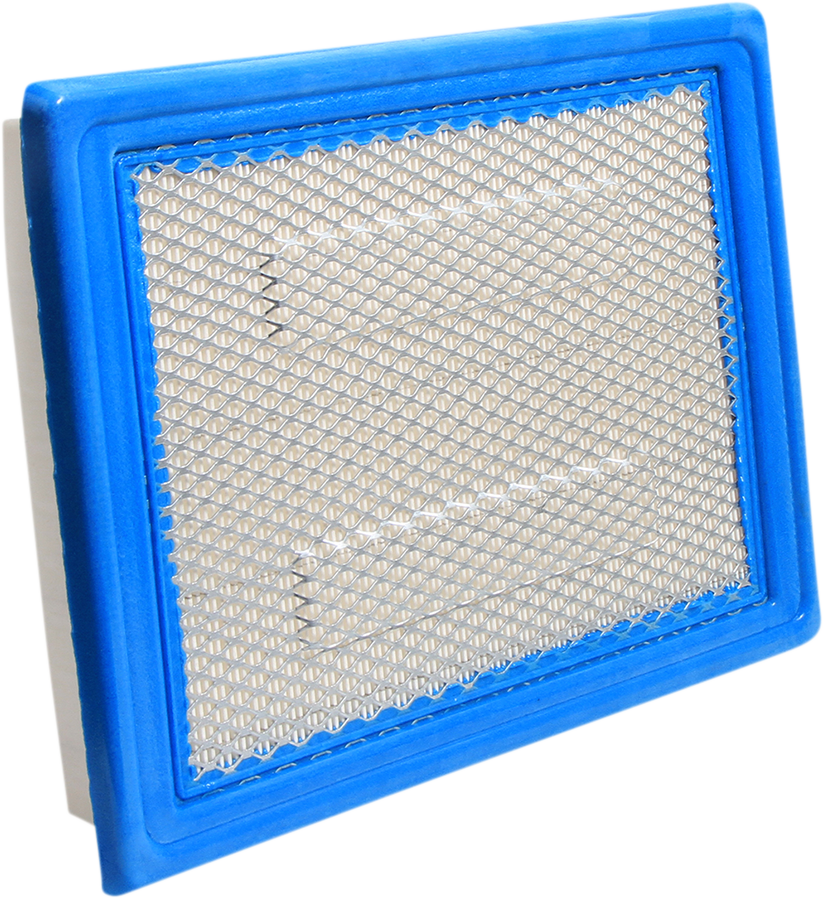 Air Filter Polaris
