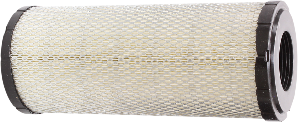 Air Filter Polaris