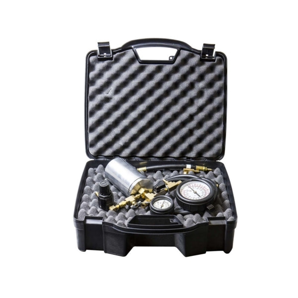 Sierra Fuel Injection Cleaning Kit