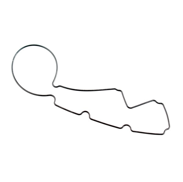 WSM