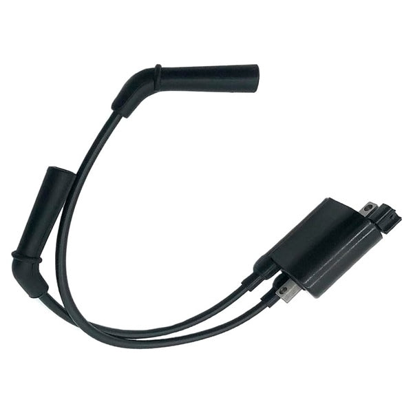 BRP Evinrude Ignition Coil 809366