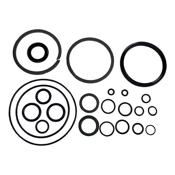 BRP Evinrude O-ring