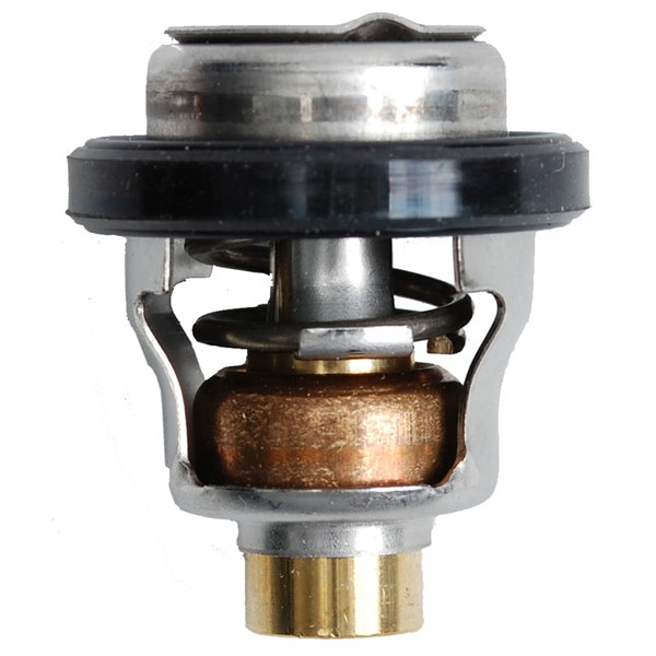 BRP Evinrude Thermostat 5030742