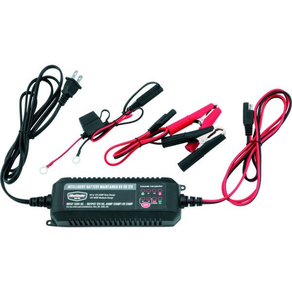 BIKEMASTER Intelligent Battery Charger 839181