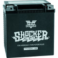 TWINPOWER Shocker AGM Battery YTX-30L