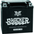 TWINPOWER Shocker AGM Battery YTX-14L