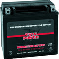 TWINPOWER AGM High Performance Battery YTX-14L