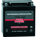 TWINPOWER AGM High Performance Battery YIX-30L