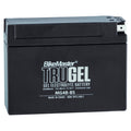 BIKEMASTER Trugel Battery MG4B-BS