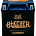 TWINPOWER Shocker Gel Battery YTX-14L
