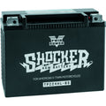 TWINPOWER Shocker AGM Battery YTX-24HL