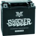 TWINPOWER Shocker AGM Battery YTX-14