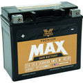 TWINPOWER Premium Max Battery GYZ-20H