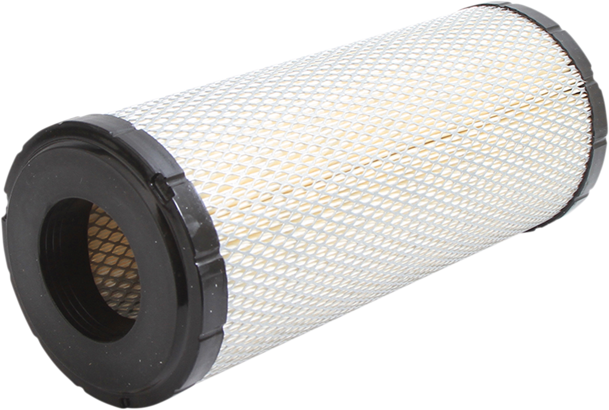 Air Filter Polaris