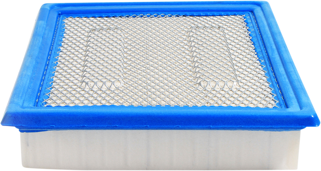 Air Filter Polaris