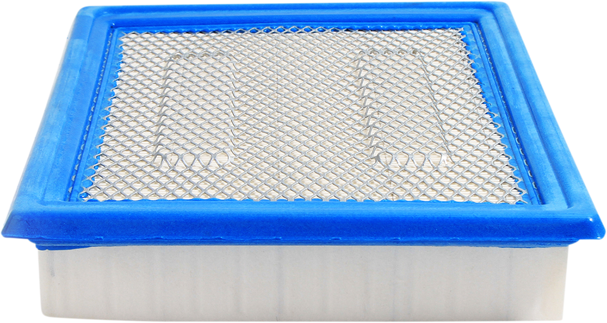 Air Filter Polaris