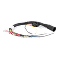 Sierra Wiring Harness 18-99448 862168