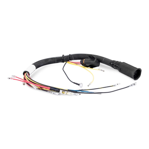 Sierra Wiring Harness 18-99448 862168