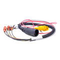 Sierra Wiring Harness 18-99484 862173
