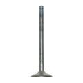 WSM Exhaust Valve