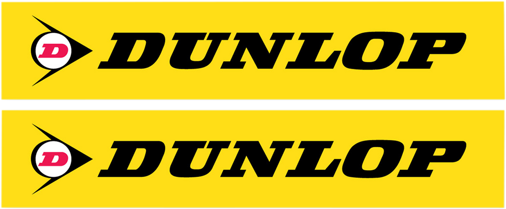 Fork and Swingarm Decals
