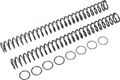 Fork Springs — 30.20 lb/in