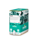 MOTOREX Gear Oil EP SAE GL-4 - 80W 80W